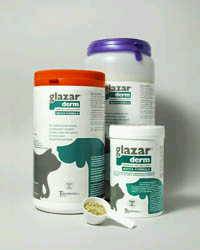 GLAZAR-DERM N.F.150GR VET - Lovesano