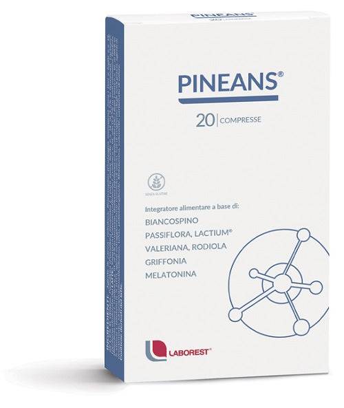 PINEANS 20CPR - Lovesano