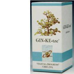 GINKETZE 80TAV 600MG - Lovesano