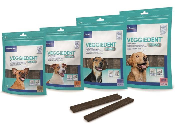 VEGGIEDENT FR3SH S 15 Stick - Lovesano