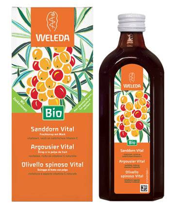 OLIVELLO SPINOSO VITAL SCIR WE - Lovesano