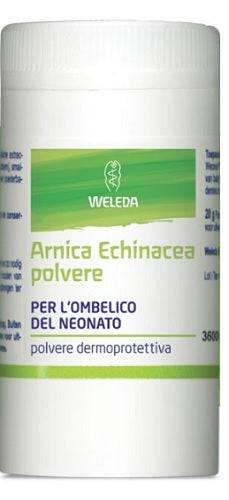 ARNICA ECHINACEA POLVERE 20G WE - Lovesano