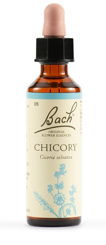 BACH  8 Chicory Gtt 20ml LKR - Lovesano 