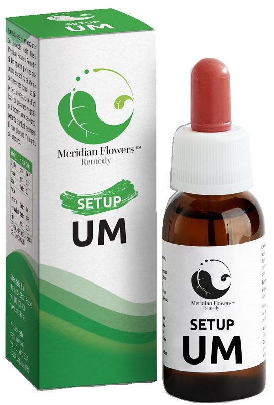 SETUP UM MERIDIAN FLOWERS REM.10 - Lovesano 