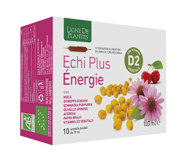 ECHI PLUS ENERGIE 10AMP 10ML