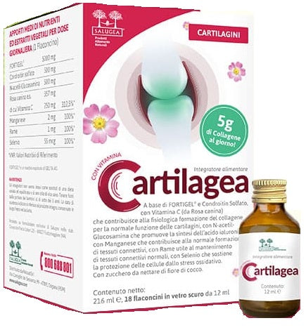 CARTILAGEA SALUGEA 18FL - Lovesano 