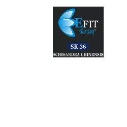 SK 36 SCHISANDRA EFIT 30ML - Lovesano 
