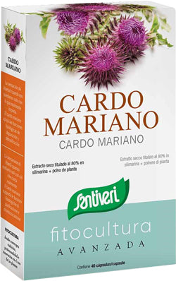 CARDO MARIANO 40CPS - Lovesano 