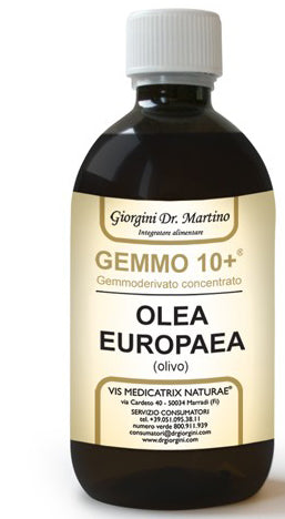 OLIVO 500ML ANALCO GEMMO 10+ - Lovesano 