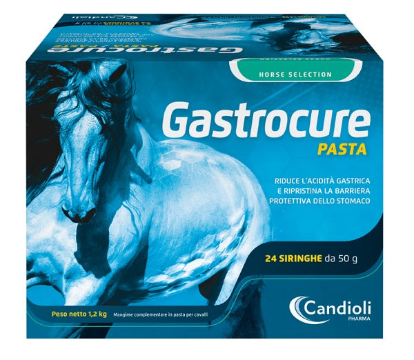 Gastrocure 24 Siringhe Preriempite Mangime Complementare In Pasta Cavalli