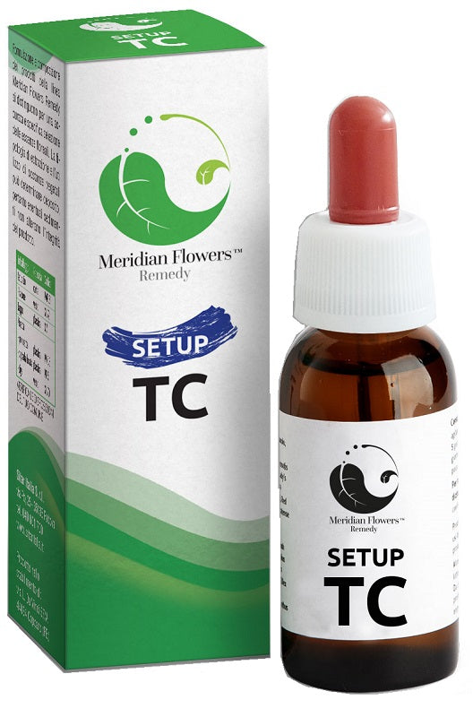 SETUP TC MERIDIAN FLOWERS REM.10 - Lovesano 