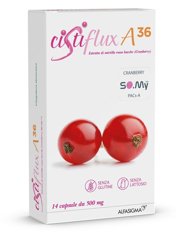 CISTIFLUX A 36 14CPS - Lovesano 