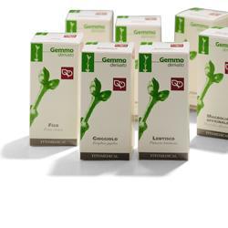 AGNOCASTO MG GTT 50ML FITOMEDICA - Lovesano 