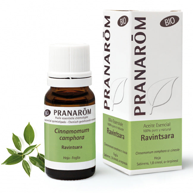 PRANAROM OE Ravintsara 10ml - Lovesano 