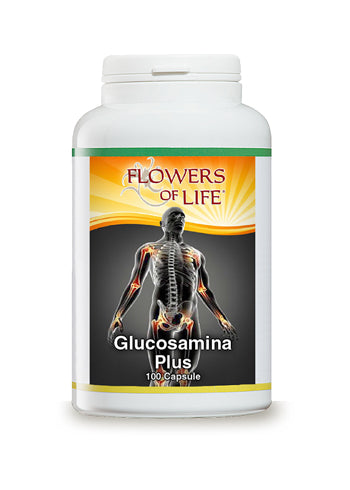 GLUCOSAMINA PLUS 100CPS FLOWERS - Lovesano 