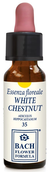 WHITE CHESTNUT ORIGINAL 10ML - Lovesano 