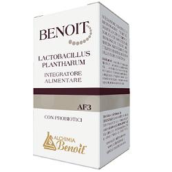 BENOIT LACTOBACILLUS PLANTHARU - Lovesano 