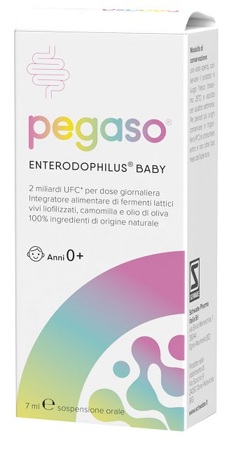 PEGASO ENTERODOPHILUS BABY 1FL - Lovesano 
