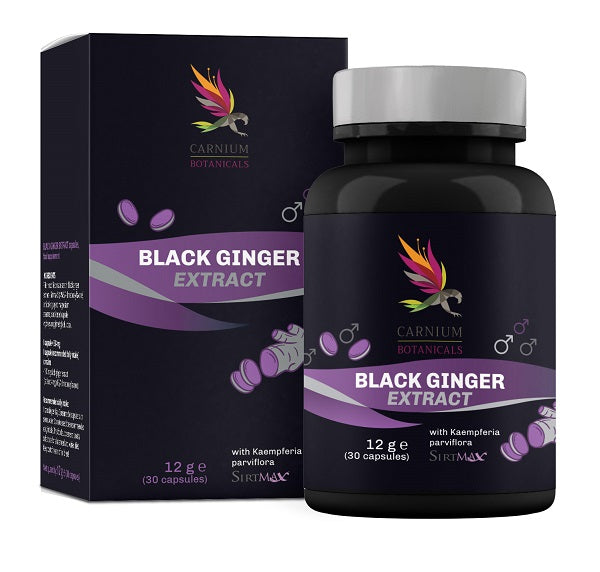 Carnium Botanicals Black Ginger Extract 30 Capsule - Lovesano 