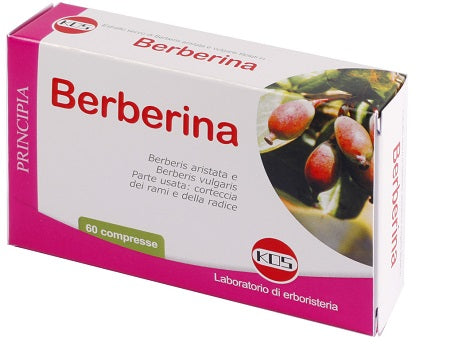 BERBERINA 60CPR KOS - Lovesano 