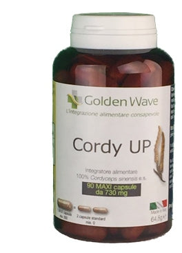 CORDY UP 90MAXI CPS - Lovesano 