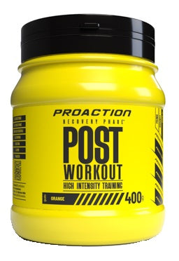 Proaction Fit Post Workout 400 G - Lovesano 