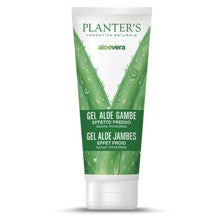 PLANTERS GEL FREDDO GAMBE ALOE 1 - Lovesano 