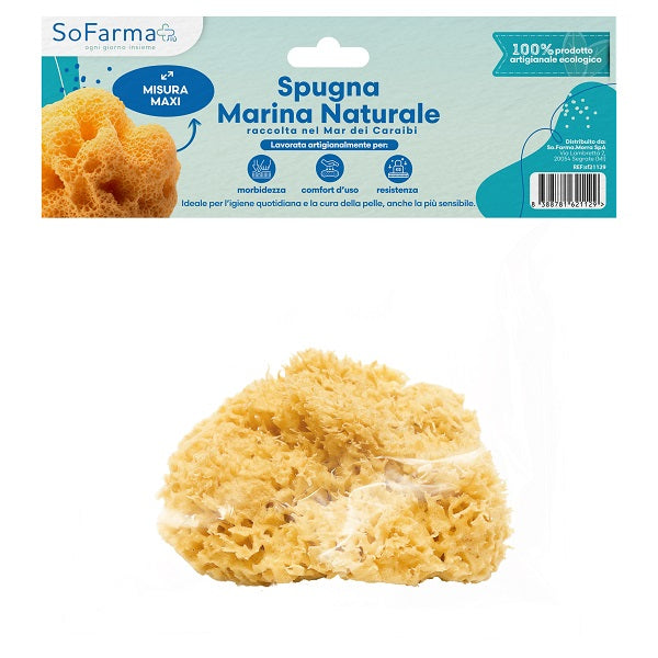 Spugna Marina Naturale Maxi Sofarmapiu'