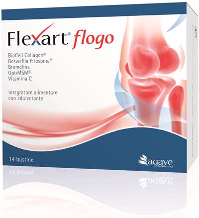 FLEXART FLOGO 14BUST - Lovesano 