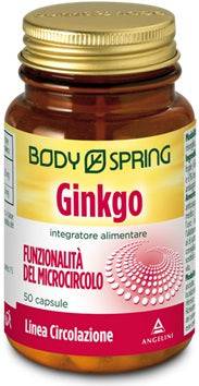 BS GINKGO 120MG 50CPS BSP - Lovesano 