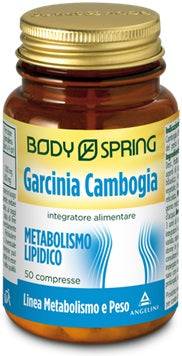 BS GARCINIA CAMB 50CPR BSP - Lovesano 