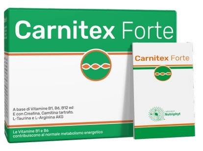 CARNITEX FORTE 14BUST - Lovesano 