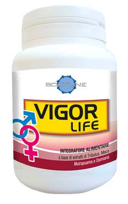 VIGOR LIFE 40CPS - Lovesano 