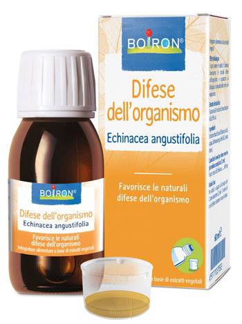 ECHINACEA ANG ESTR IAL 60ML - Lovesano 