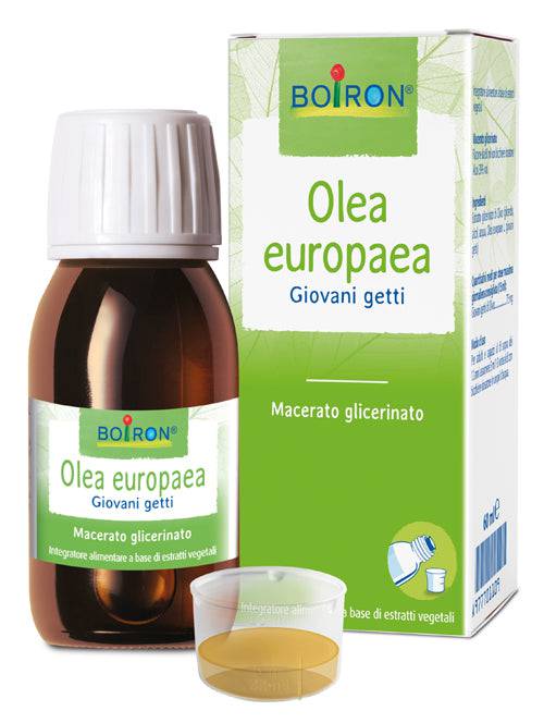 BOIRON Olea Europea MG 60ml - Lovesano 