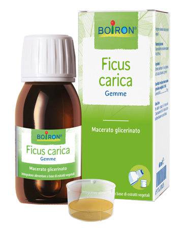 FICUS CARICA BOI MG 60ML INT - Lovesano 