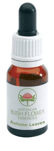 AUTUMN LEAVES AUSTRALIAN 15ML - Lovesano 