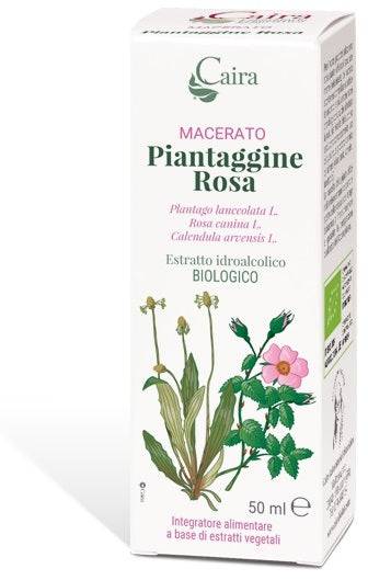 MACERATO PIANTAGG R BIO GTT - Lovesano 