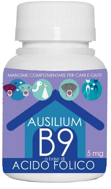 AUSILIUM B9 ACIDO FOLIC 100G VET - Lovesano 