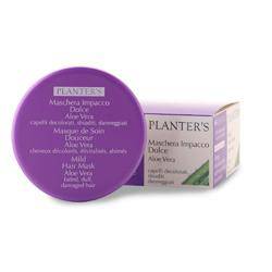 PLANTER - Lovesano S MASCHERA IMP DOLCE A - Lovesano 