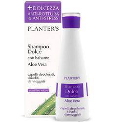 PLANTER - Lovesano S SHAMPOO DOLCE ALOE V - Lovesano 