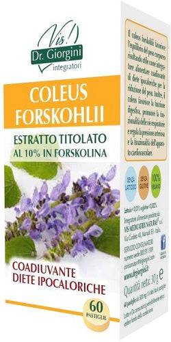 COLEUS FOR ESTR TIT 60PAST - Lovesano 