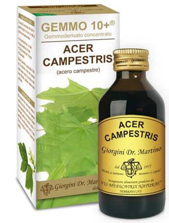 ACERO CAMP 100ML ANALCO GEM10+ - Lovesano 