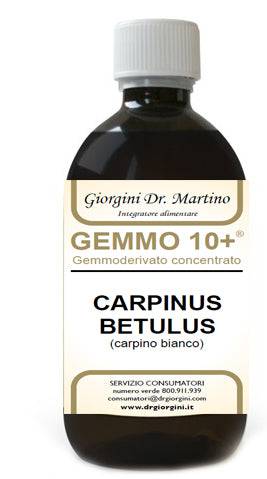 CARPINO Gemmo 10+ Analc.500ml - Lovesano 