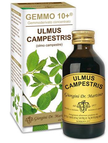 OLMO CAMP 100ml Analc.Gemme10+ - Lovesano 
