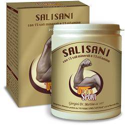 SALISANI VITAMINSPORT 360G POL - Lovesano 