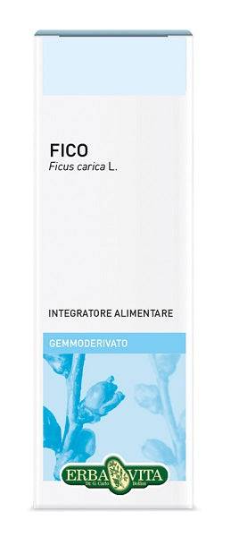 GEMMODERIVATO FICO 50ML EBV - Lovesano 