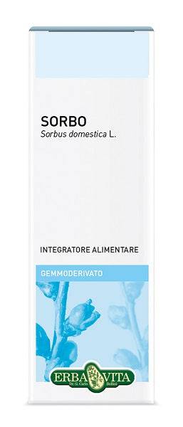 GEMMODERIVATO SORBO 50ML - Lovesano 