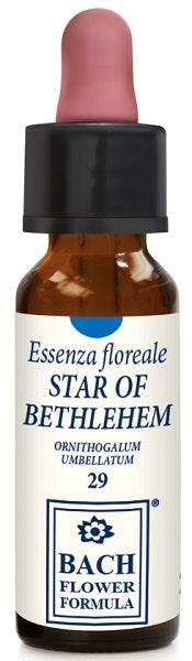 STAR OF BETHLEHEM 10ML GTT - Lovesano 