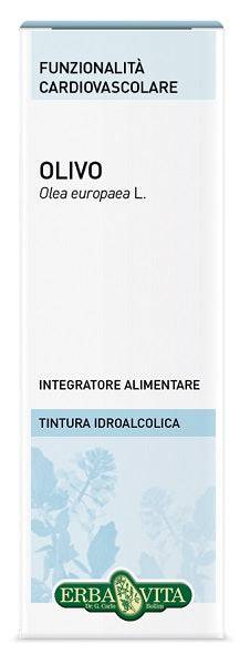 OLIVO TINT IAL 50ML EBV - Lovesano 